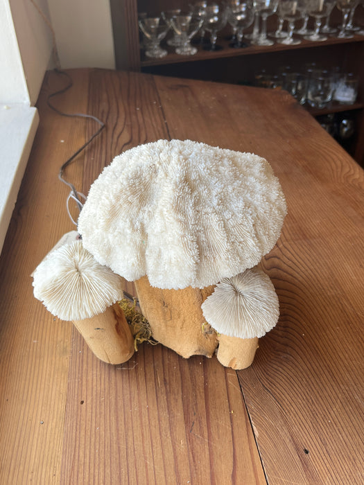 Coral Mushroom Lamp