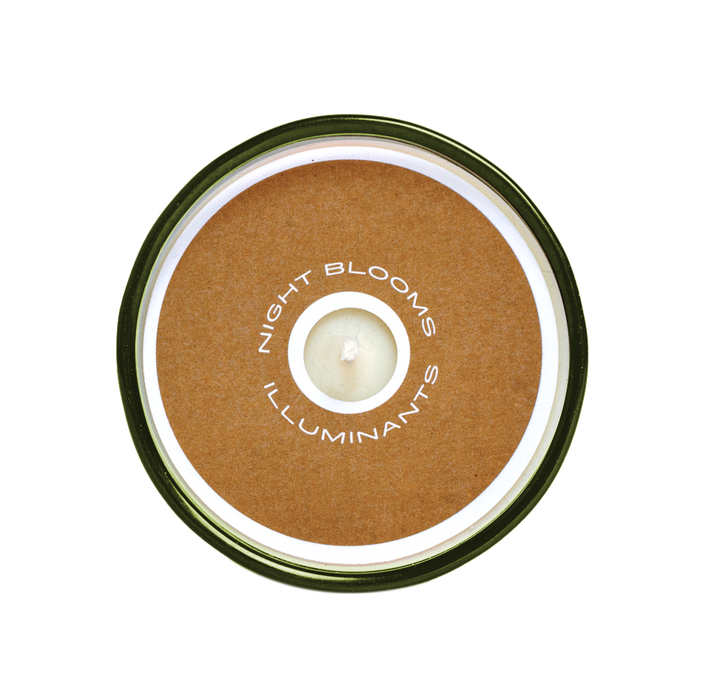Sespe Pinecone 8 oz. Candle